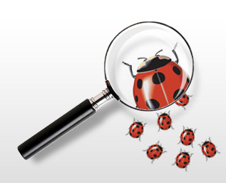 magnifyingglass